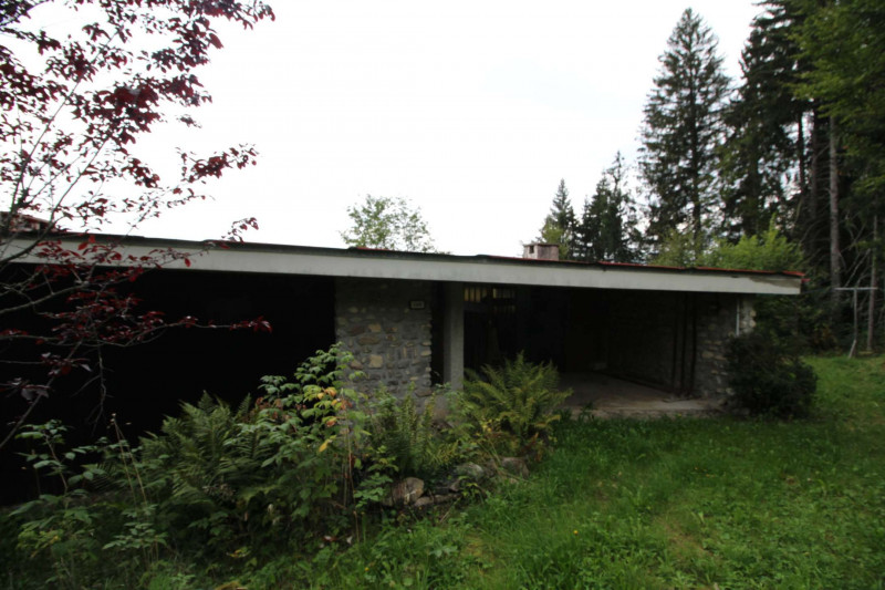 _clients_227430004_photos_125l_8830183