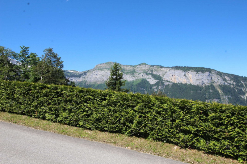 _clients_227430004_photos_139e_8651080 _clients_227430004_photos_139e_8651080