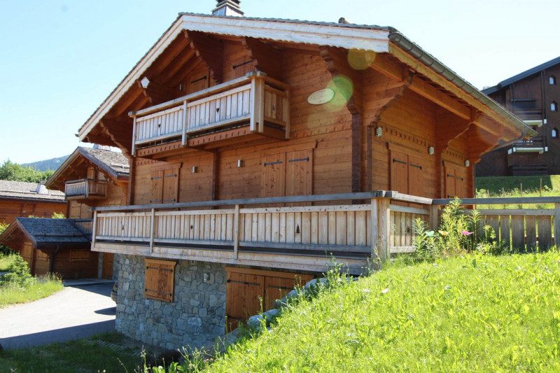 _clients_227430004_photos_139g_8643361