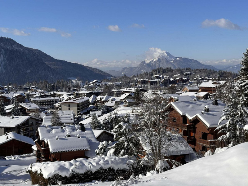 _clients_227430004_photos_145p_8942862 _clients_227430004_photos_145p_8942862