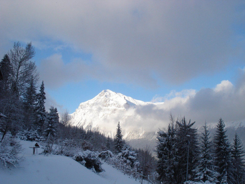 _clients_227430004_photos_154m_8755203