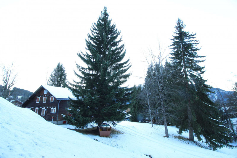 _clients_227430004_photos_155j_8656388