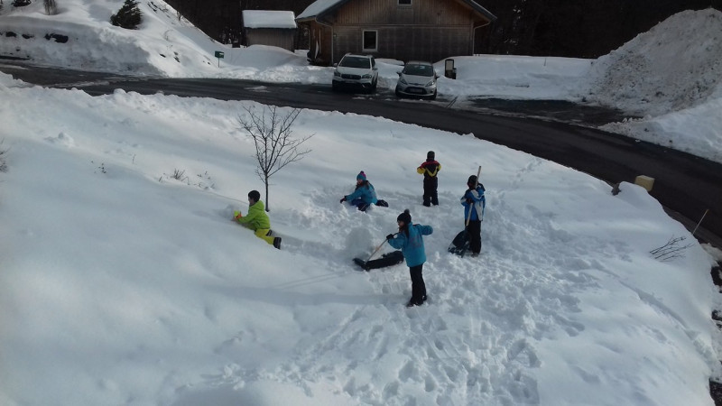 _clients_227430004_photos_158h_8638322