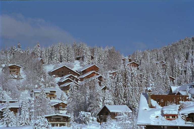 _clients_227430004_photos_161l_8646114