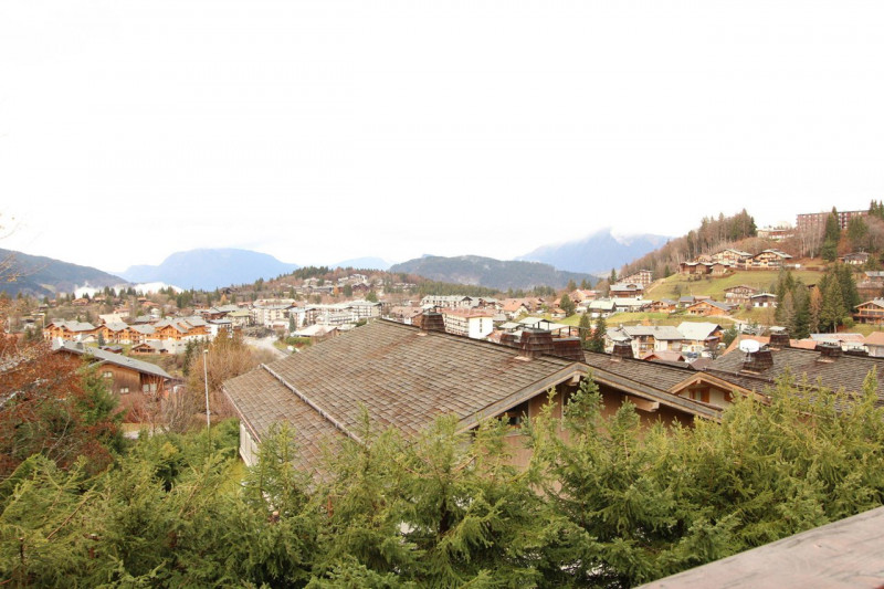 _clients_227430004_photos_163k_8969107