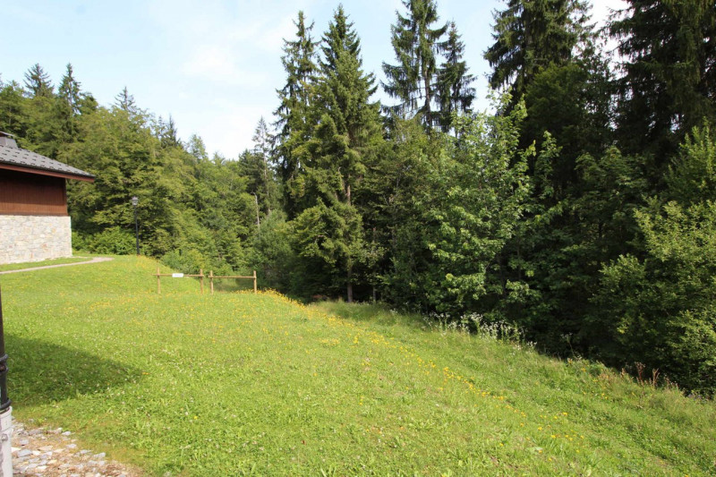 _clients_227430004_photos_176j_8932125