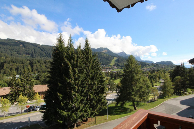 _clients_227430004_photos_181h_8638544