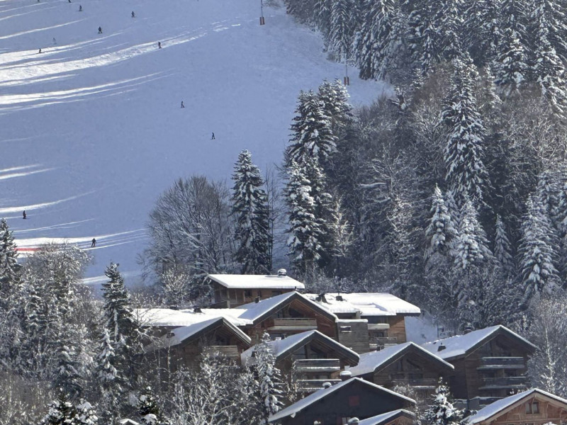 _clients_227430004_photos_192l_8980251