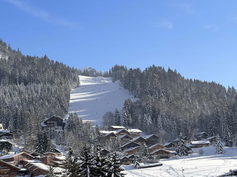 _clients_227430004_photos_192m_8891236