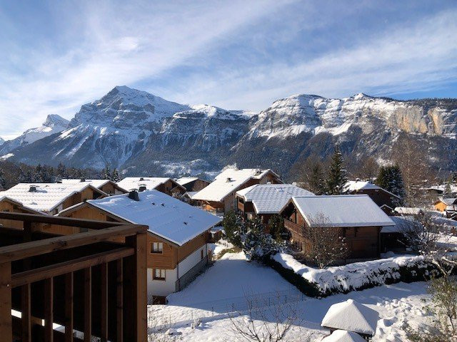 _clients_227430004_photos_196j_8669593 _clients_227430004_photos_196j_8669593