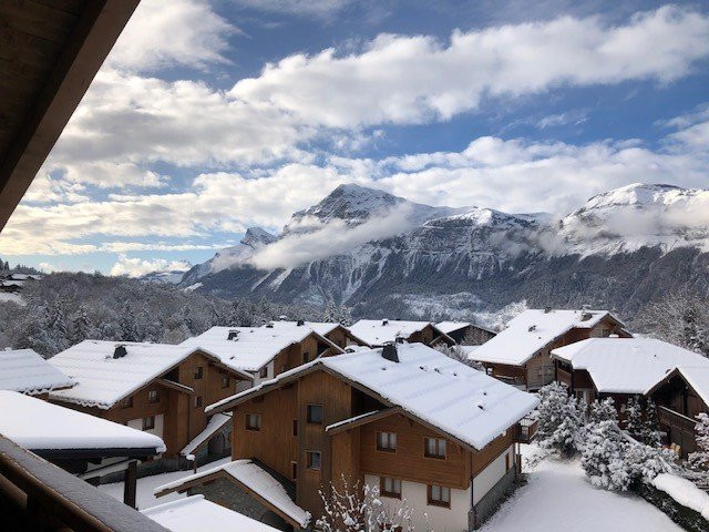 _clients_227430004_photos_196k_8664478 _clients_227430004_photos_196k_8664478