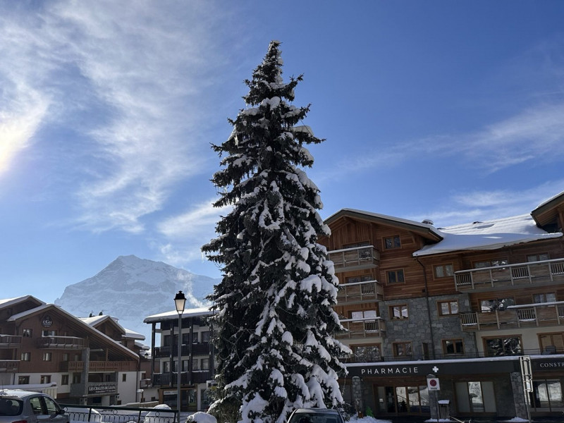 _clients_227430004_photos_196m_8664480 _clients_227430004_photos_196m_8664480