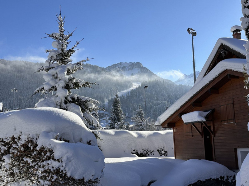 _clients_227430004_photos_199v_8811150