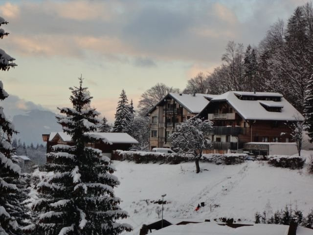 _clients_227430004_photos_1f_8684062