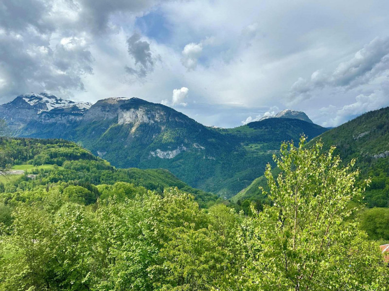 _clients_227430004_photos_203p_8631086