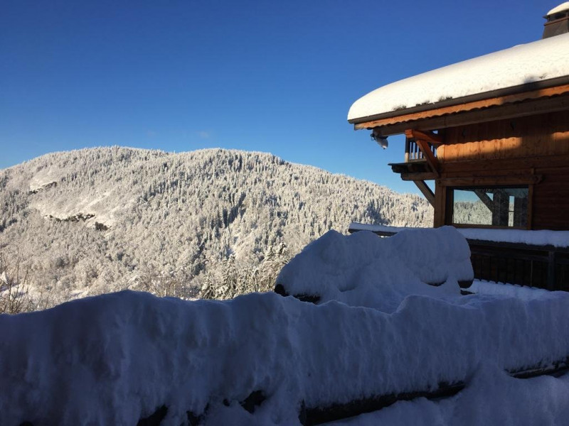 _clients_227430004_photos_203u_8564508