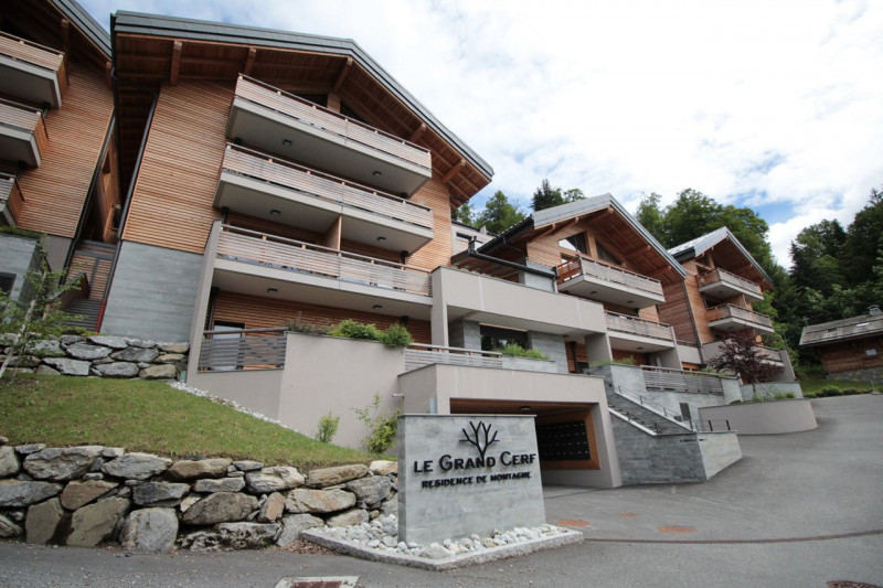 _clients_227430004_photos_204i_8641411