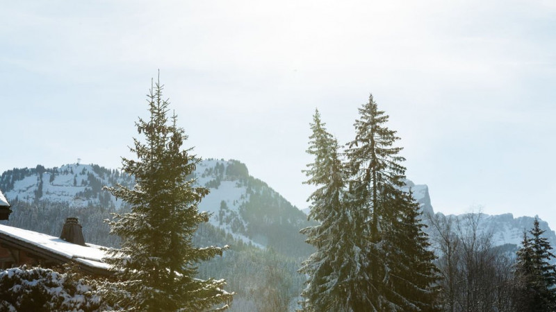 _clients_227430004_photos_216i_8837328