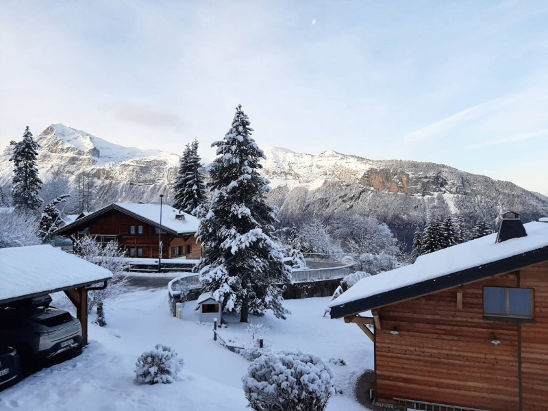 _clients_227430004_photos_21k_8615556