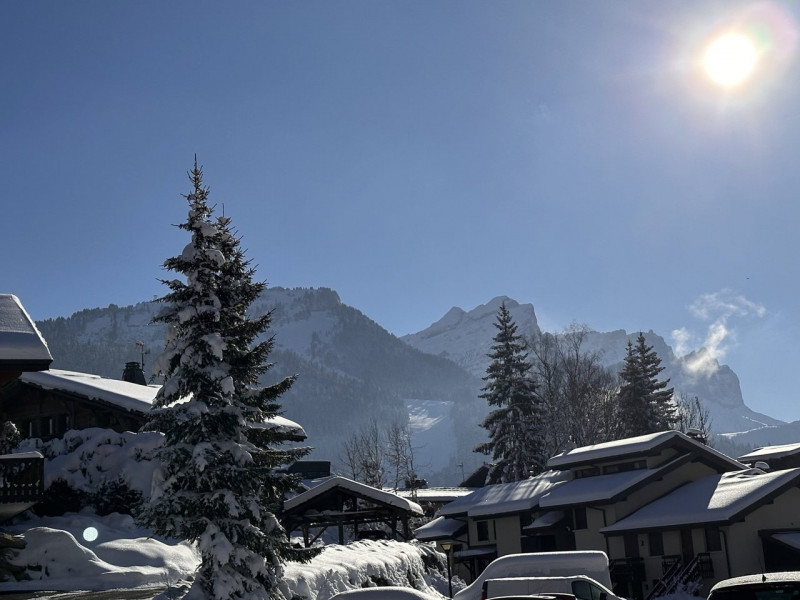 _clients_227430004_photos_220p_8934604