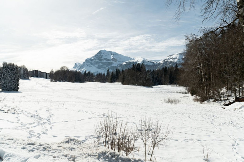 _clients_227430004_photos_223i_8780257 _clients_227430004_photos_223i_8780257