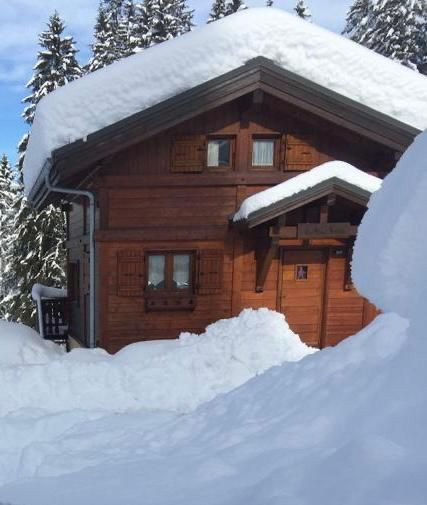 _clients_227430004_photos_229q_8753487