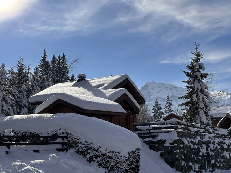 _clients_227430004_photos_229t_8798165