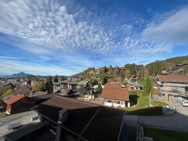 _clients_227430004_photos_230l_8564719 _clients_227430004_photos_230l_8564719