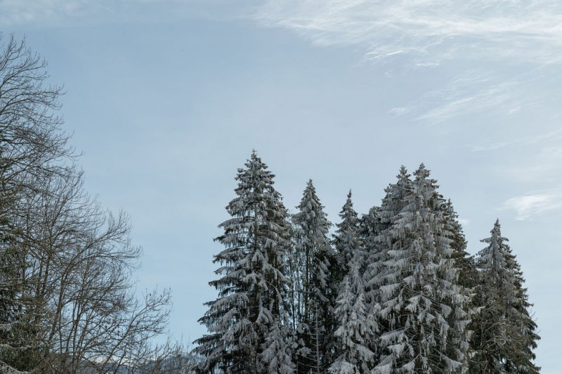 _clients_227430004_photos_243f_8904435 _clients_227430004_photos_243f_8904435