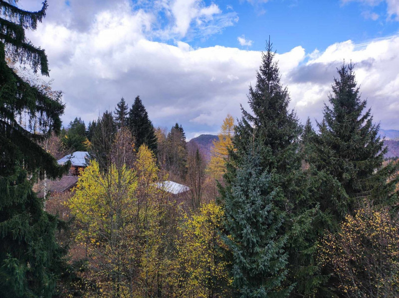 _clients_227430004_photos_243k_8760306