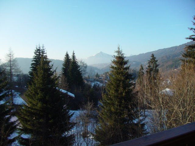 _clients_227430004_photos_243l_8878506