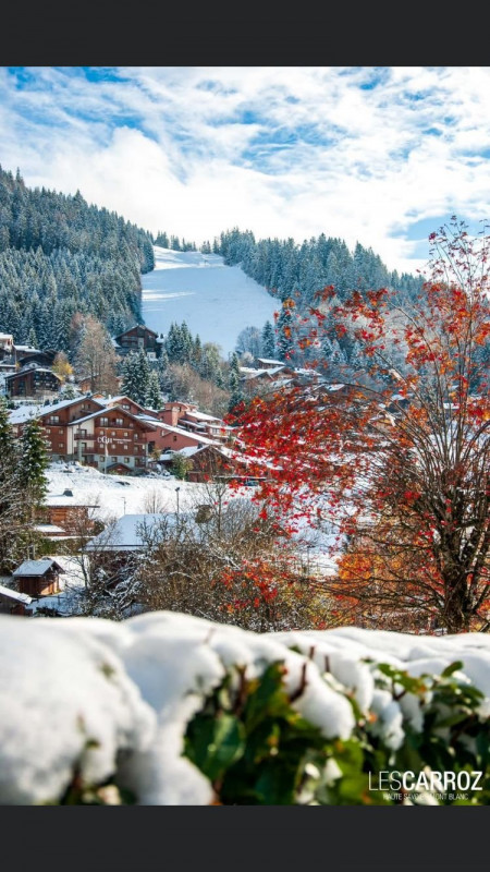 _clients_227430004_photos_243n_8885013 _clients_227430004_photos_243n_8885013