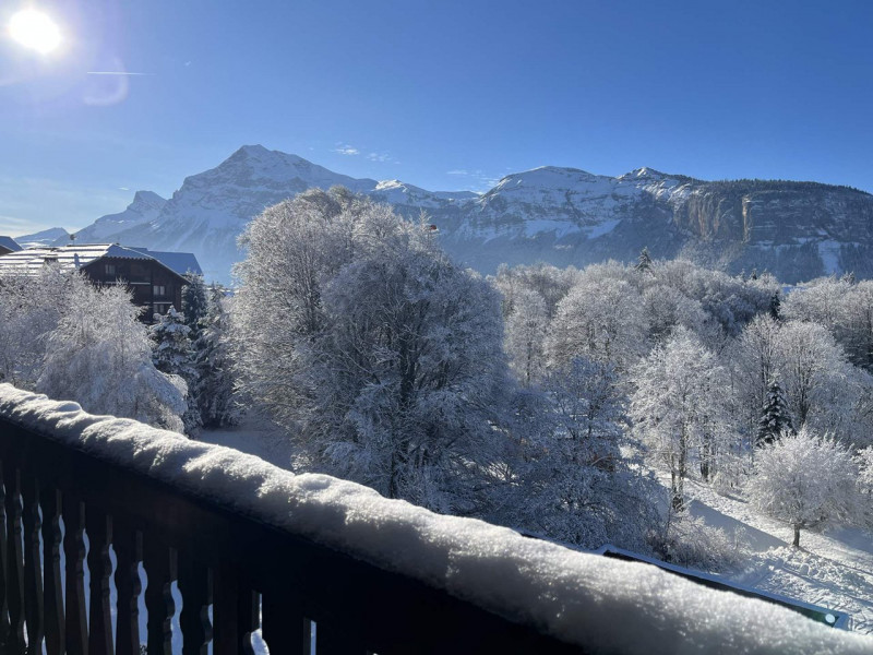 _clients_227430004_photos_245n_8804889