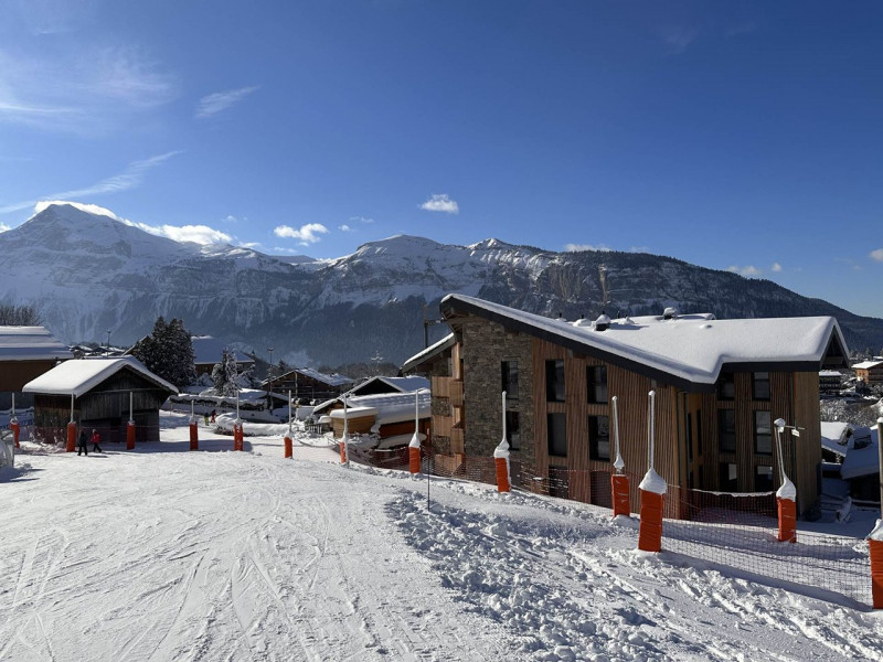 _clients_227430004_photos_251m_8773764