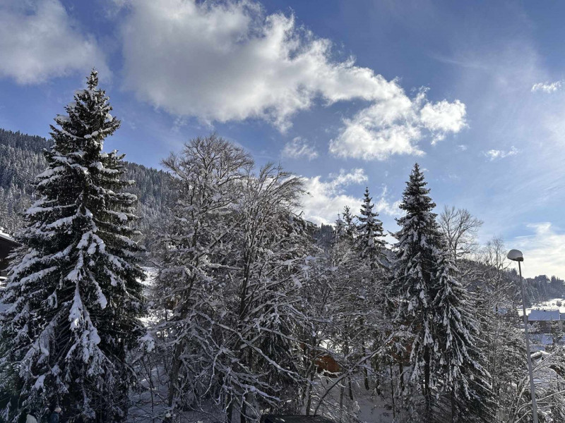 _clients_227430004_photos_253u_8880772