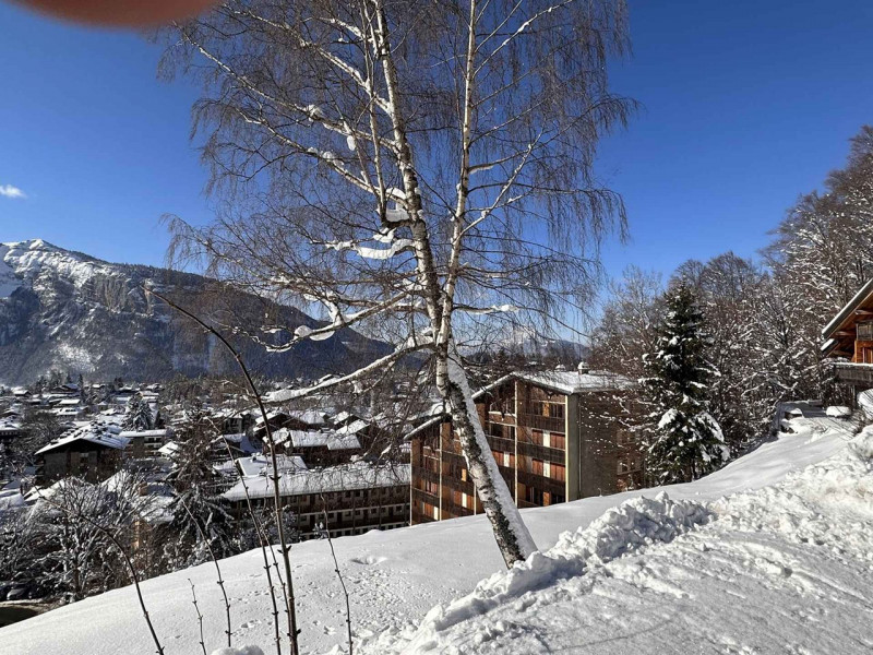 _clients_227430004_photos_254p_9186668