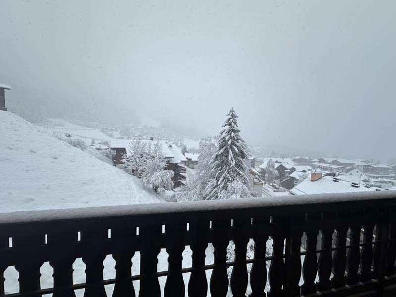 _clients_227430004_photos_276j_8904664 _clients_227430004_photos_276j_8904664