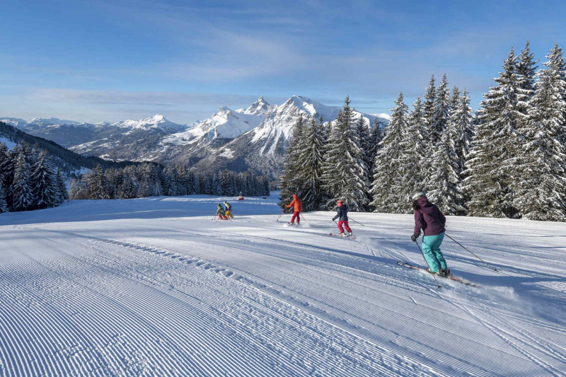 _clients_227430004_photos_282j_8769513 _clients_227430004_photos_282j_8769513