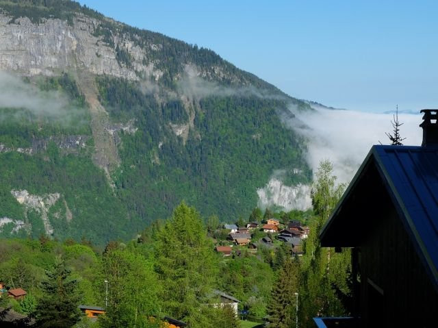 _clients_227430004_photos_28f_8760574