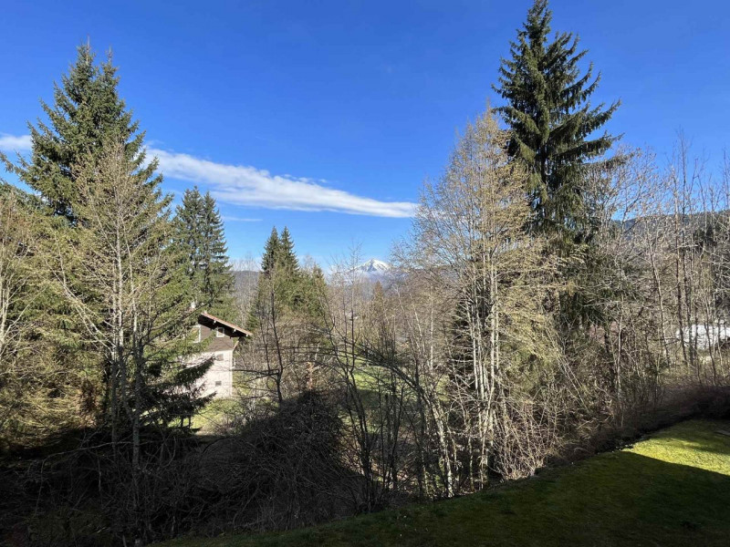 _clients_227430004_photos_31o_8872377