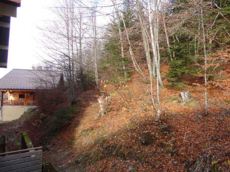 _clients_227430004_photos_36f_8685816