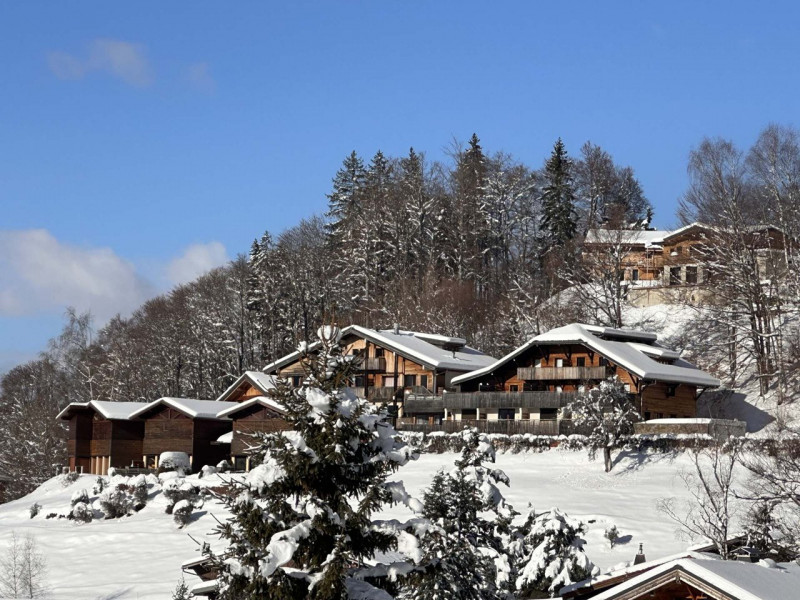 _clients_227430004_photos_38l_8959180