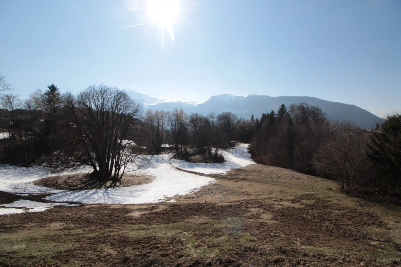 _clients_227430004_photos_3h_8939414 _clients_227430004_photos_3h_8939414