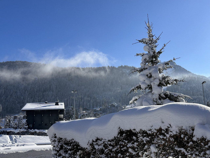 _clients_227430004_photos_41o_8840216 _clients_227430004_photos_41o_8840216