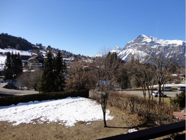 _clients_227430004_photos_57f_8652665 _clients_227430004_photos_57f_8652665