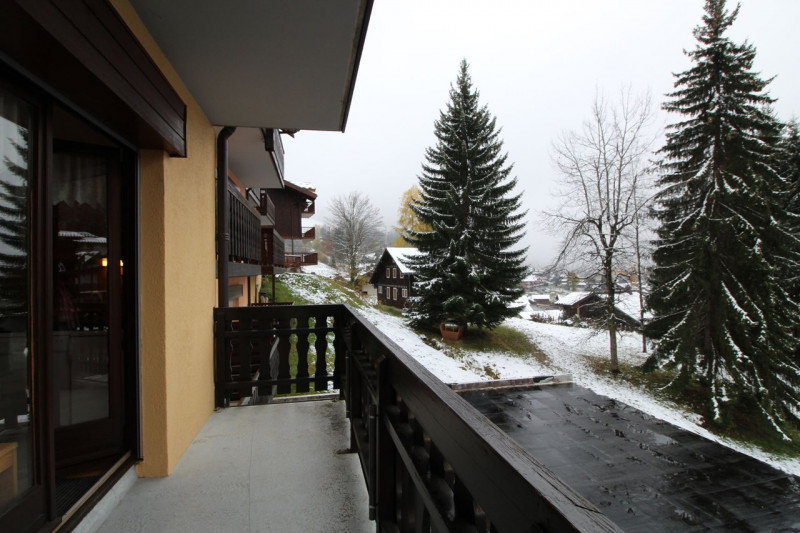 _clients_227430004_photos_59k_8642411 _clients_227430004_photos_59k_8642411