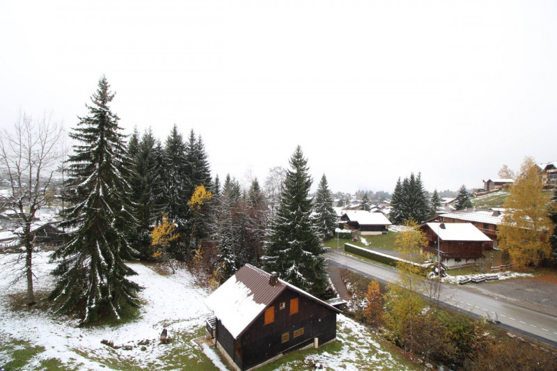 _clients_227430004_photos_62g_8758807