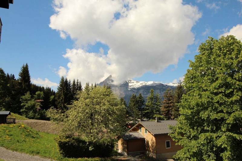 _clients_227430004_photos_66g_8955199