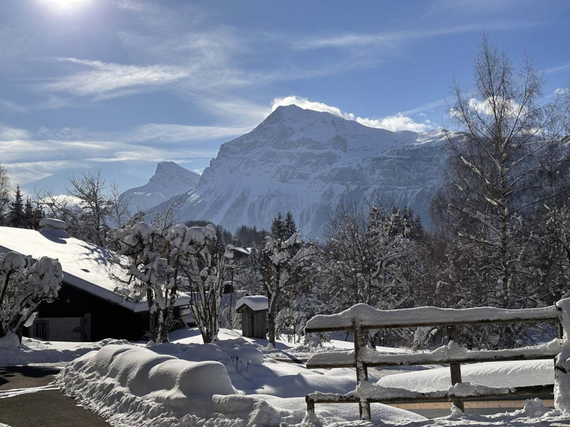 _clients_227430004_photos_67o_9198288 _clients_227430004_photos_67o_9198288