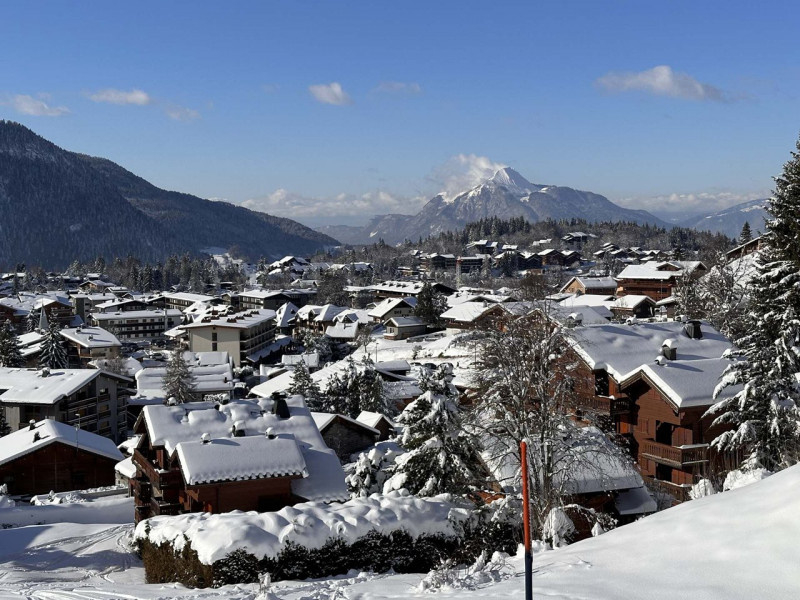_clients_227430004_photos_69q_9200555